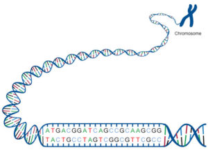 dnacode