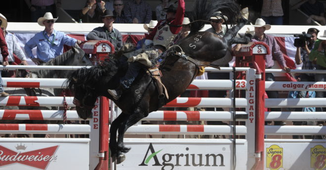 Calgary Stampede Trivia