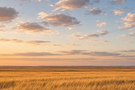 Golden Alberta prairie under a big sky at sunset